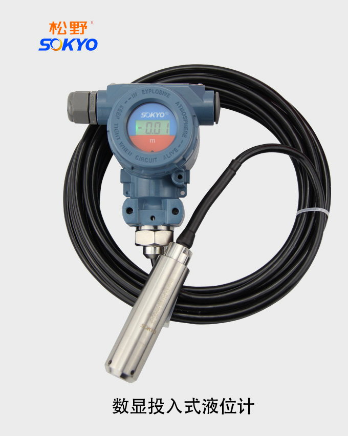 數(shù)顯投入式液位計(jì),PS1300液位計(jì)