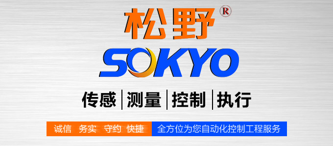 液晶漢顯控制儀,DT409雙回路液晶顯示表,液晶顯示控制儀品牌模塊